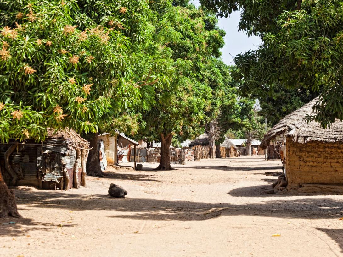 Changements Climatiques 